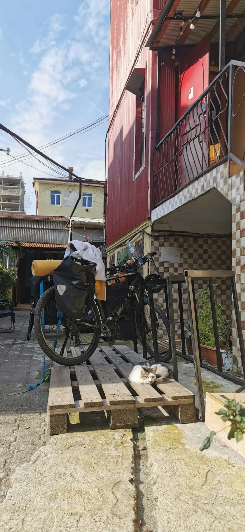 Photo - Harmony Backpackers Hostel