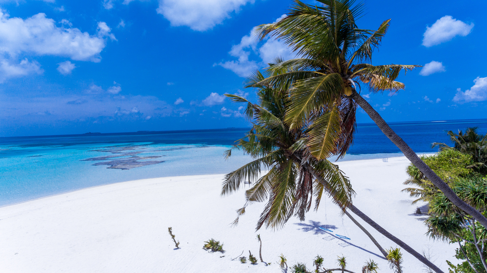 Photo - Dhangethi Inn