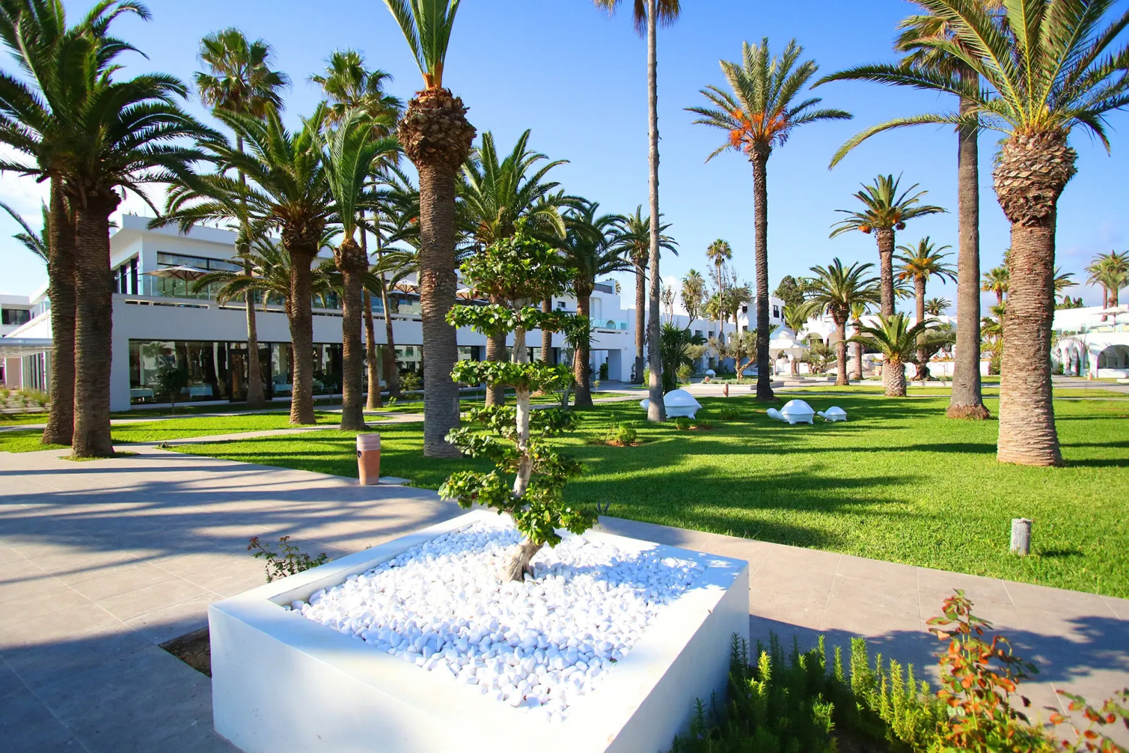 Foto - Les Orangers Garden Villas and Bungalows Ultra All inclusive