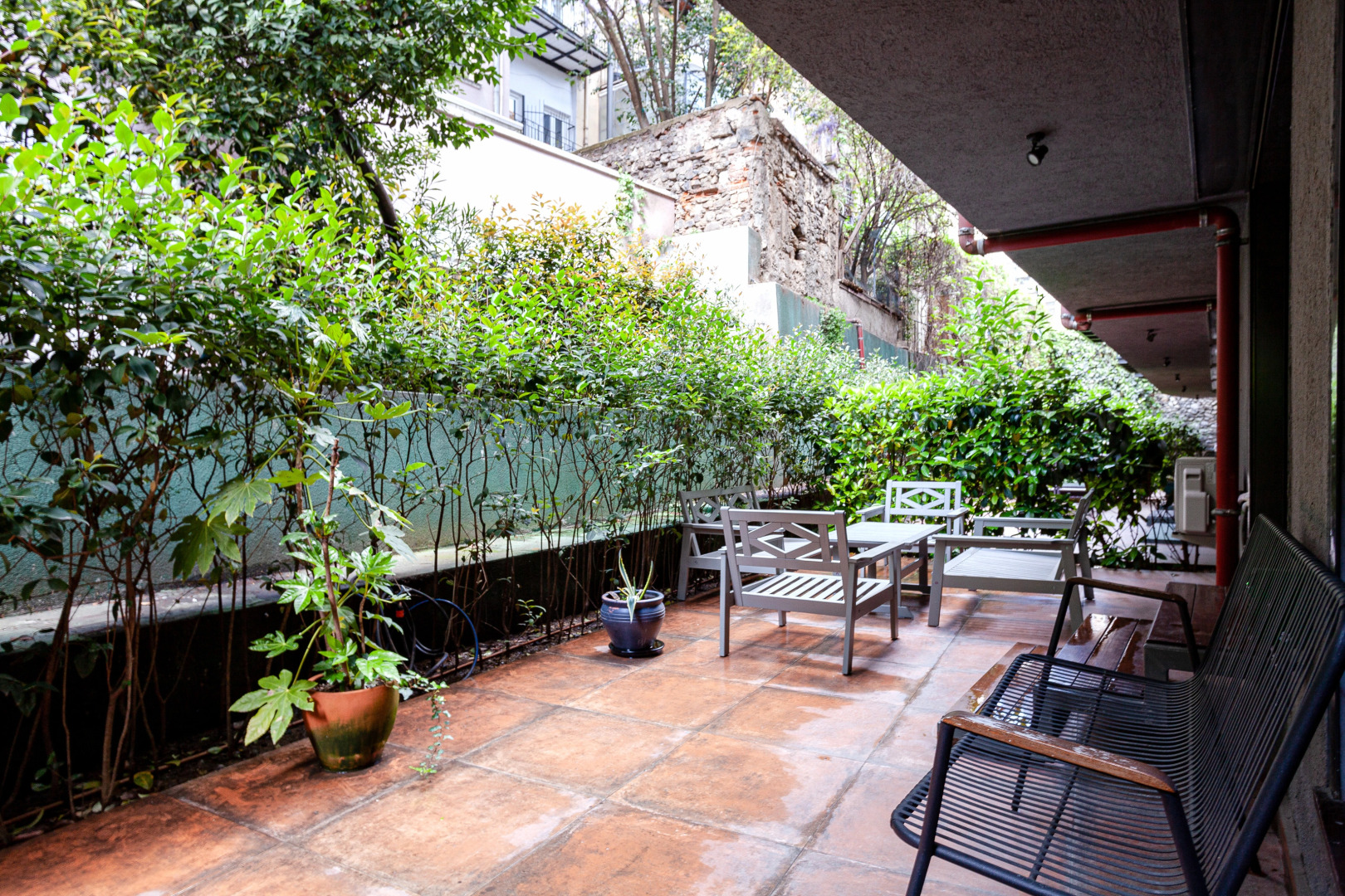 Foto - NOA - Ali Hoca 6