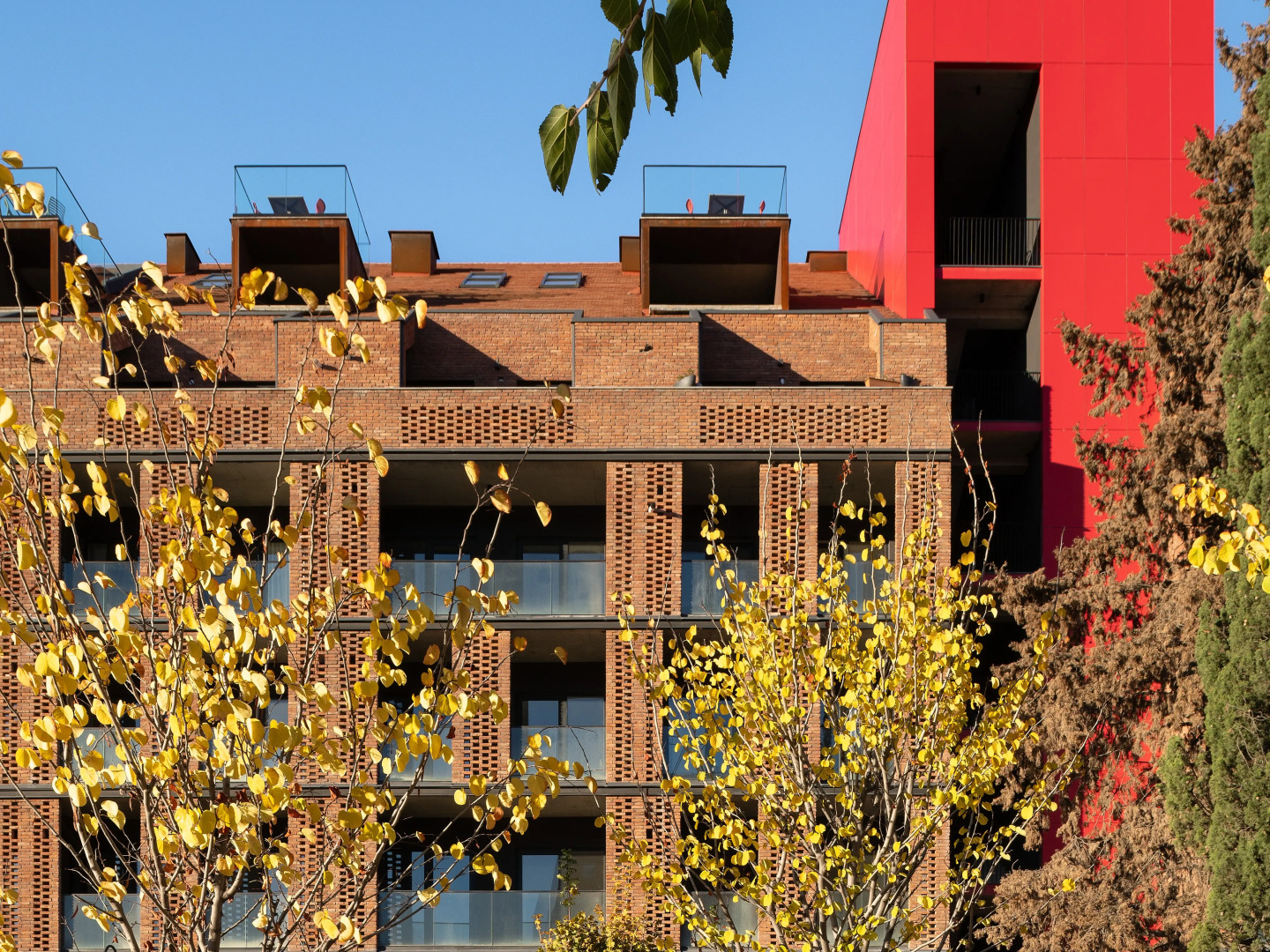 Foto - Apart-In Georgia