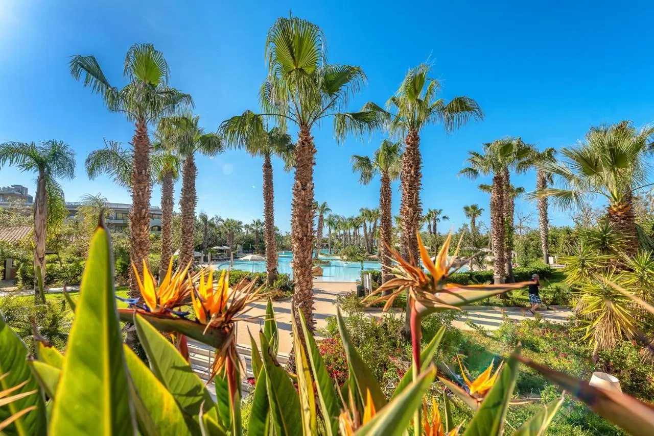 Foto - Acacia Resort