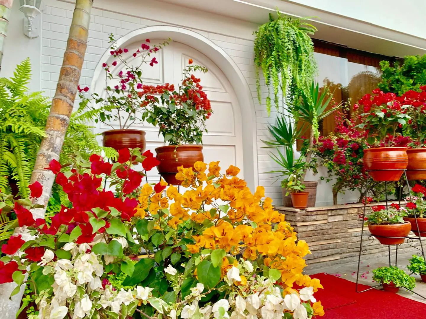 Foto - Casa Bella Boutique Hotel San Isidro
