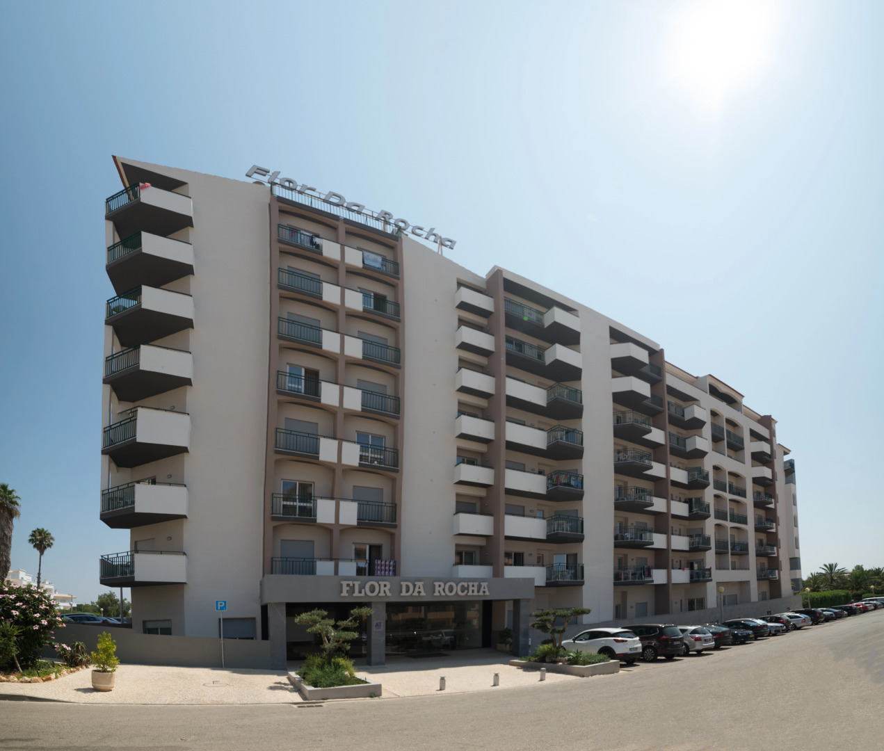 Foto - Flor Da Rocha