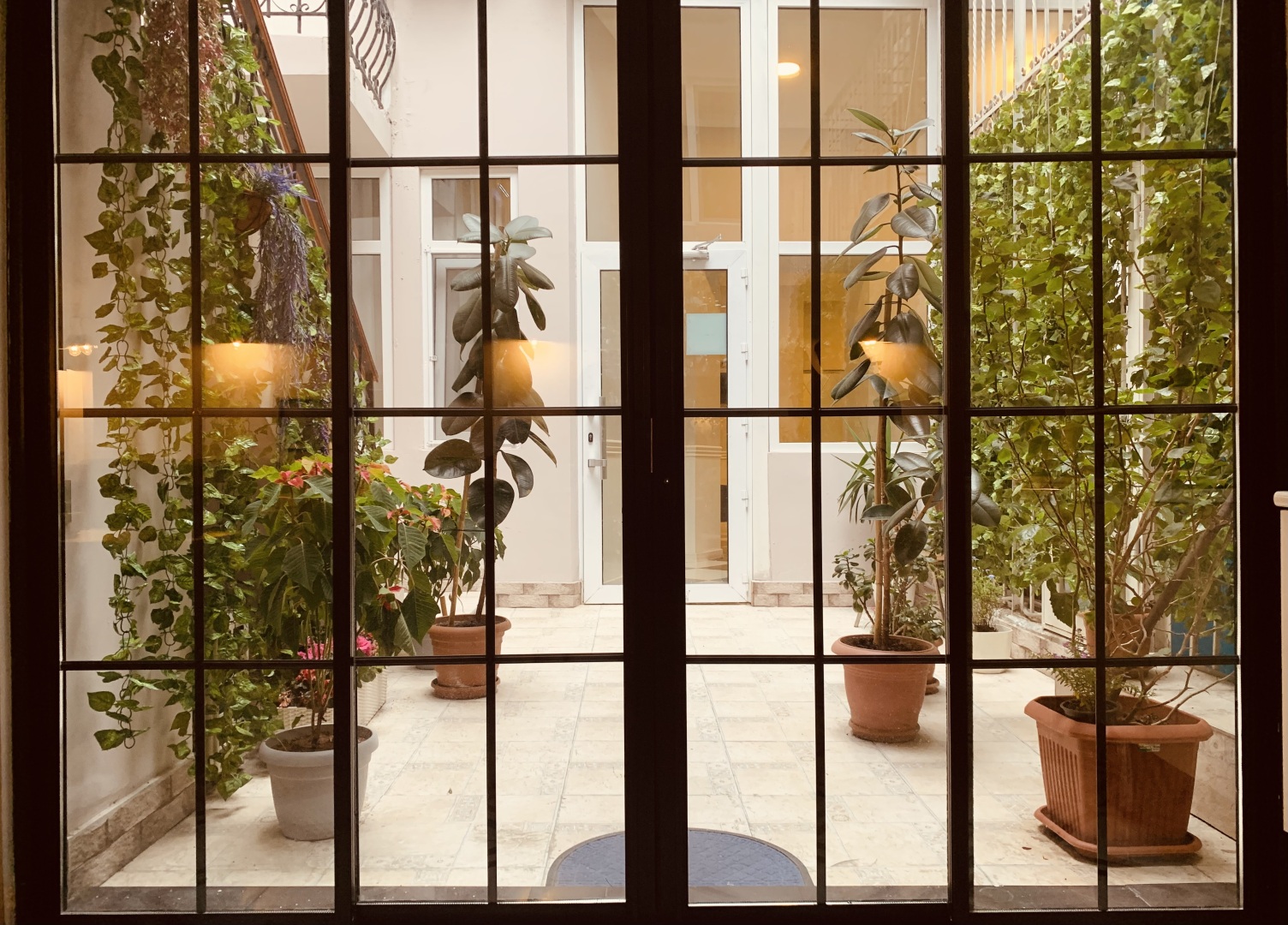 Foto - Moss Art Boutique Hotel