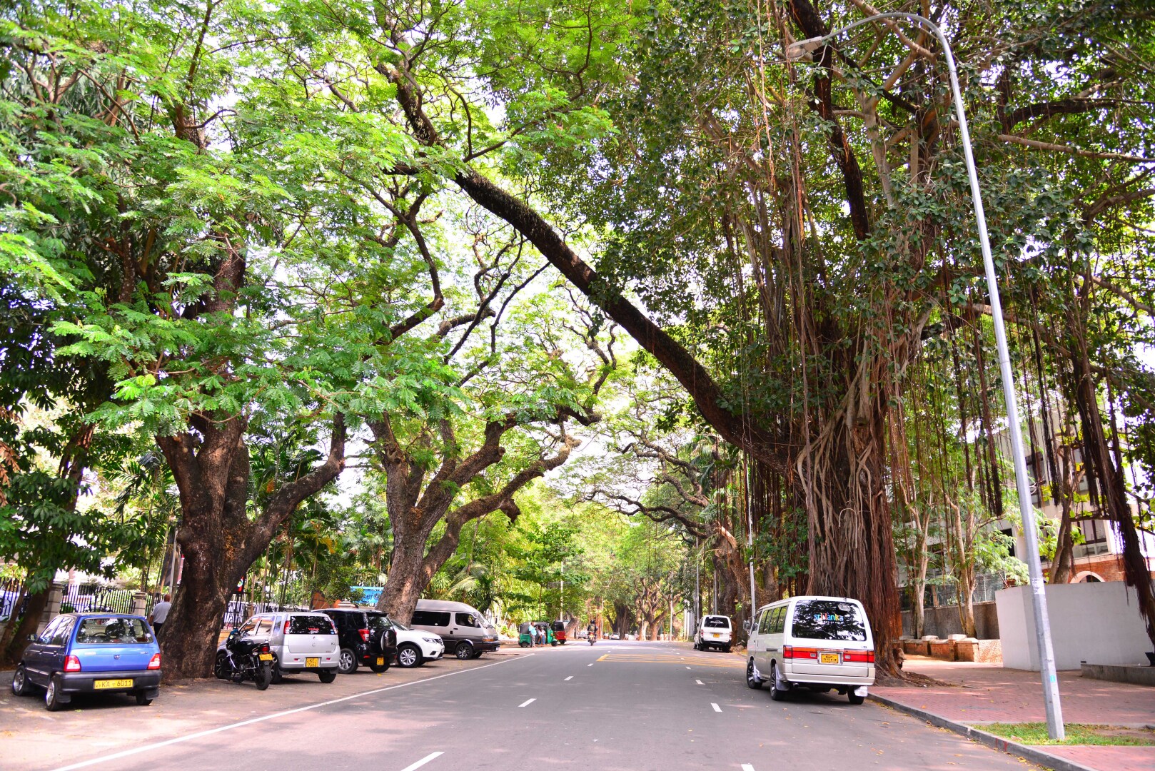 Foto - Colombo Villa