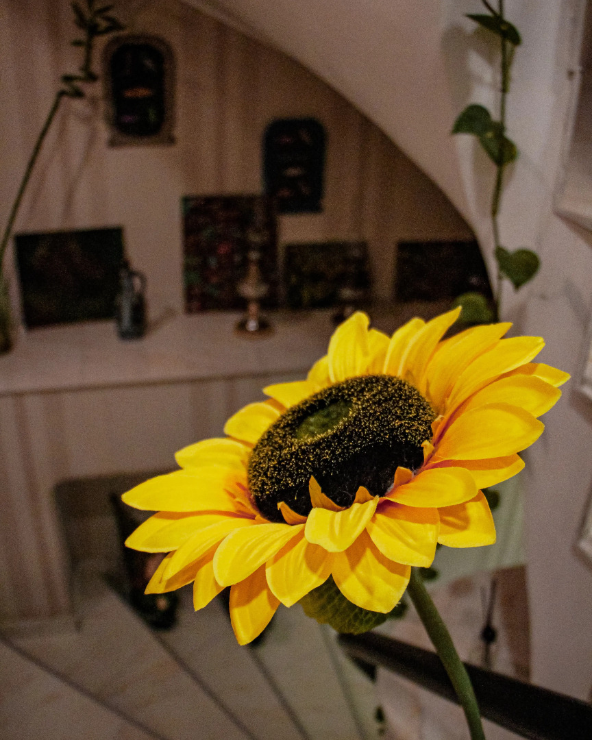 Foto - Hotel Marioni