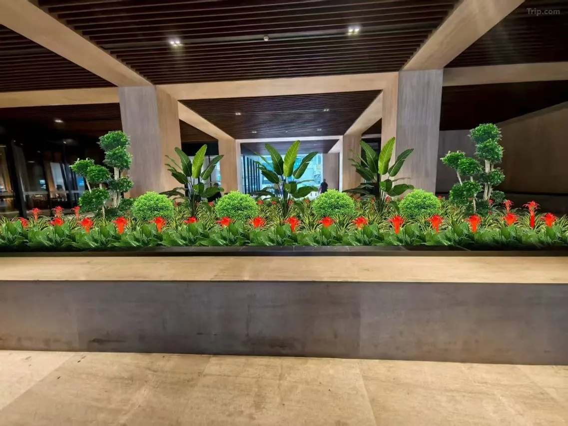 Photo - Four Points by Sheraton Chengdu, Chunxi Road