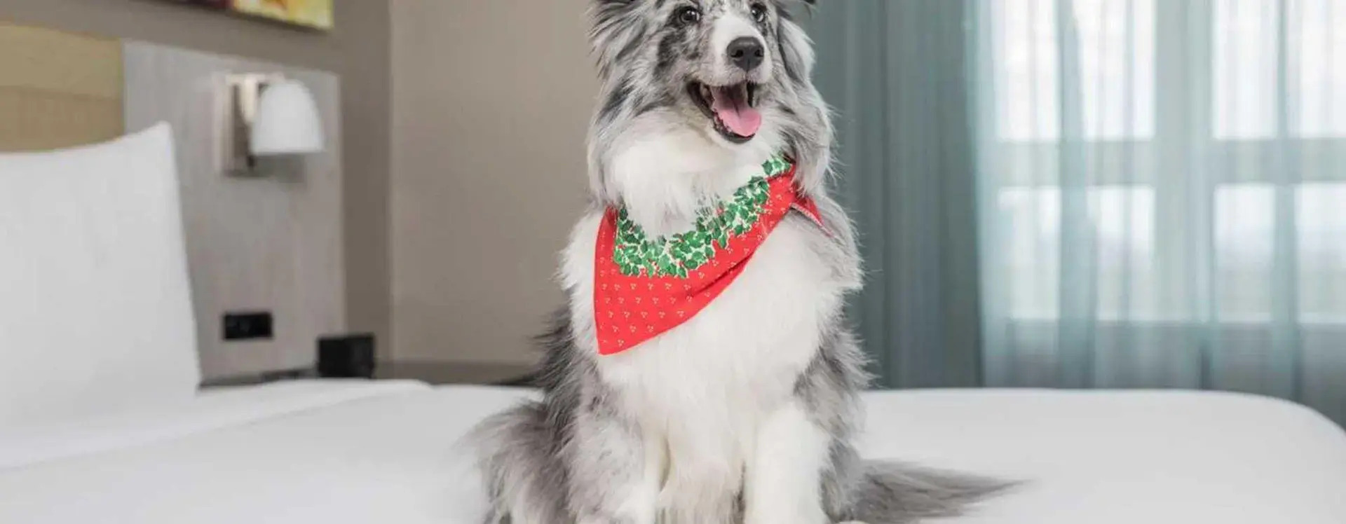 Foto - Hilton New York Times Square