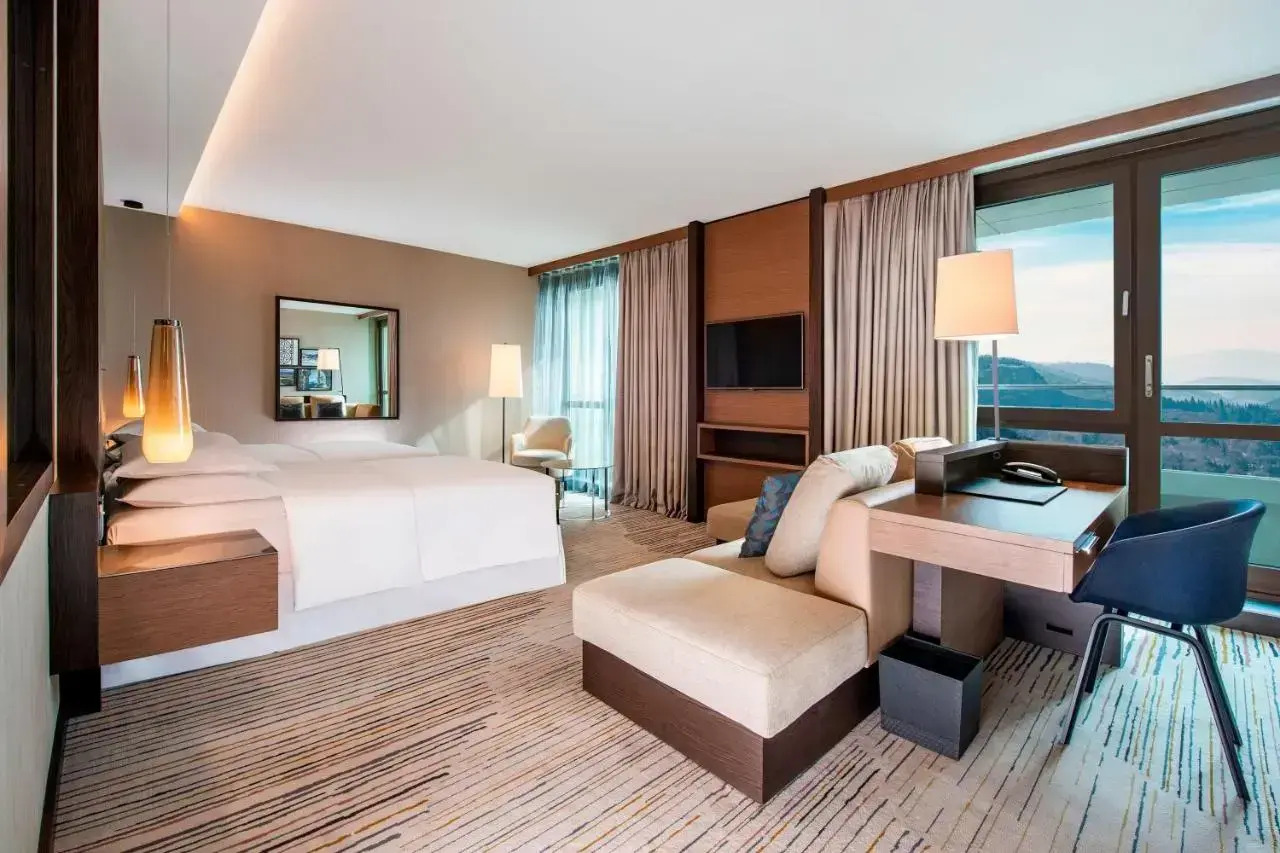 Foto - Sheraton Grand Tbilisi Metechi Palace