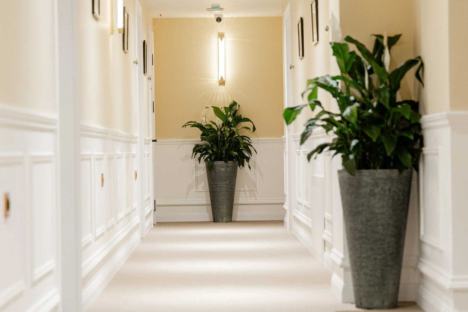 Photo - Astoria Plaza Hotel