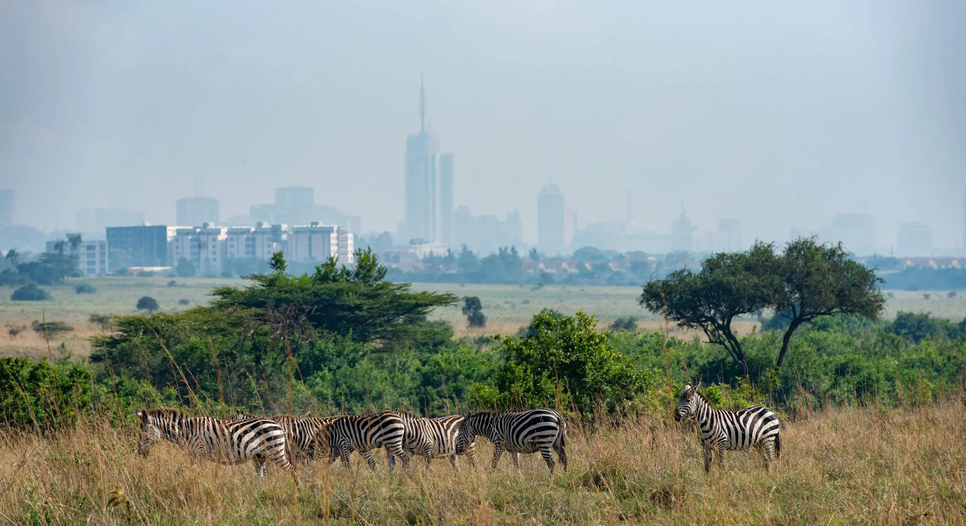 Foto - Park Inn by Radisson Nairobi Westlands