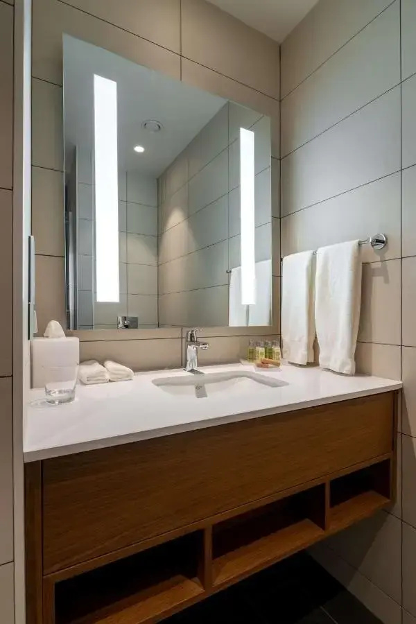 Foto - Hilton Garden Inn Tbilisi Chavchavadze