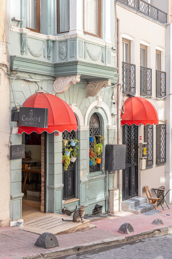 Foto - Calanthe Residence