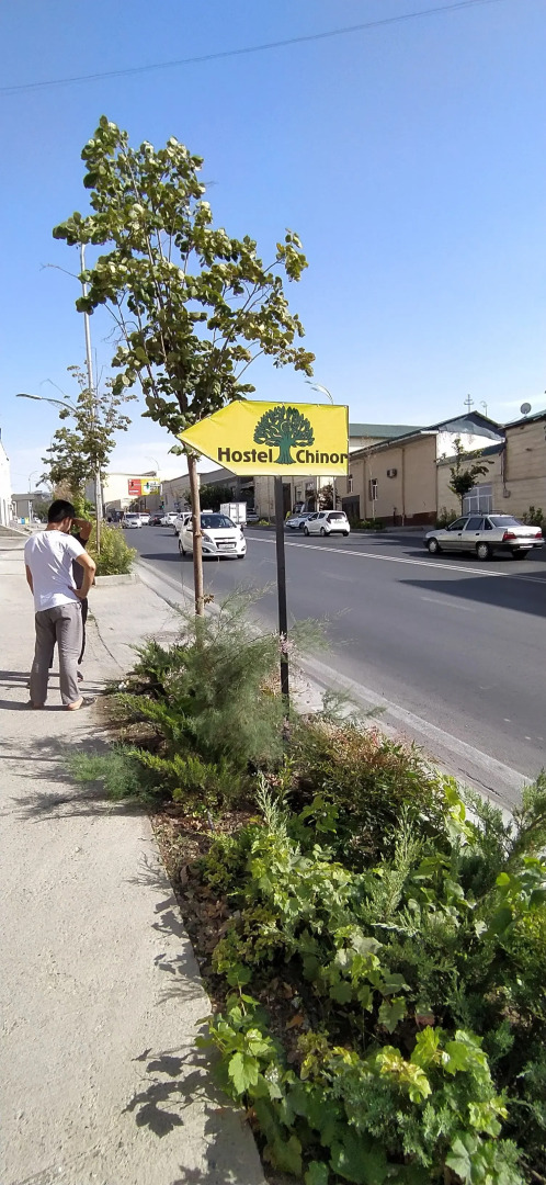 Foto - Chinor Hostel