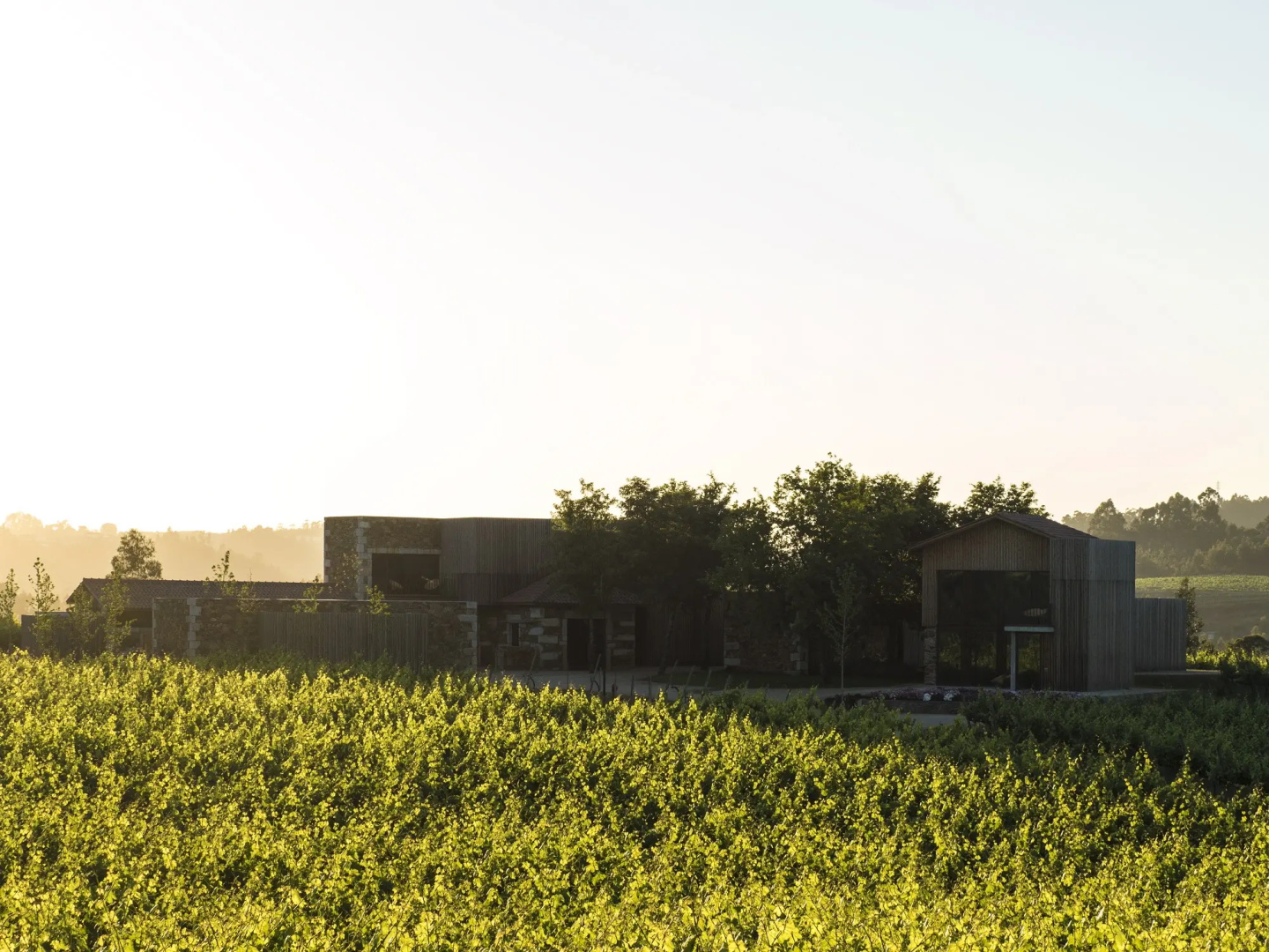Foto - Monverde - Wine Experience Hotel - by Unlock Hotels