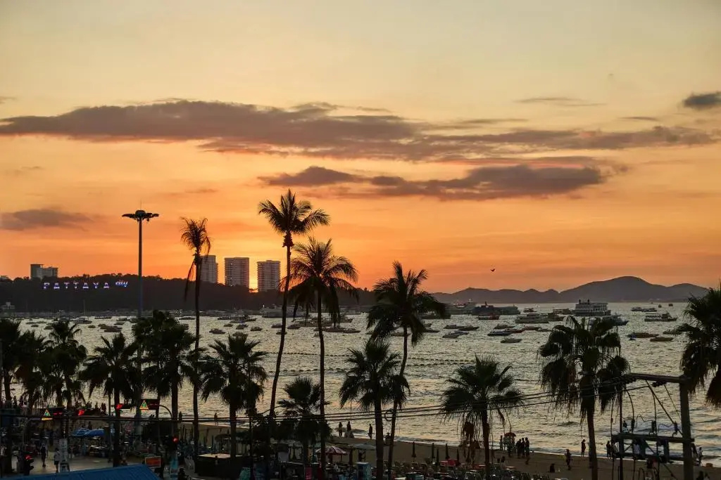 Foto - The Weekend Pattaya (Tweet Tweet Nest Pattaya)