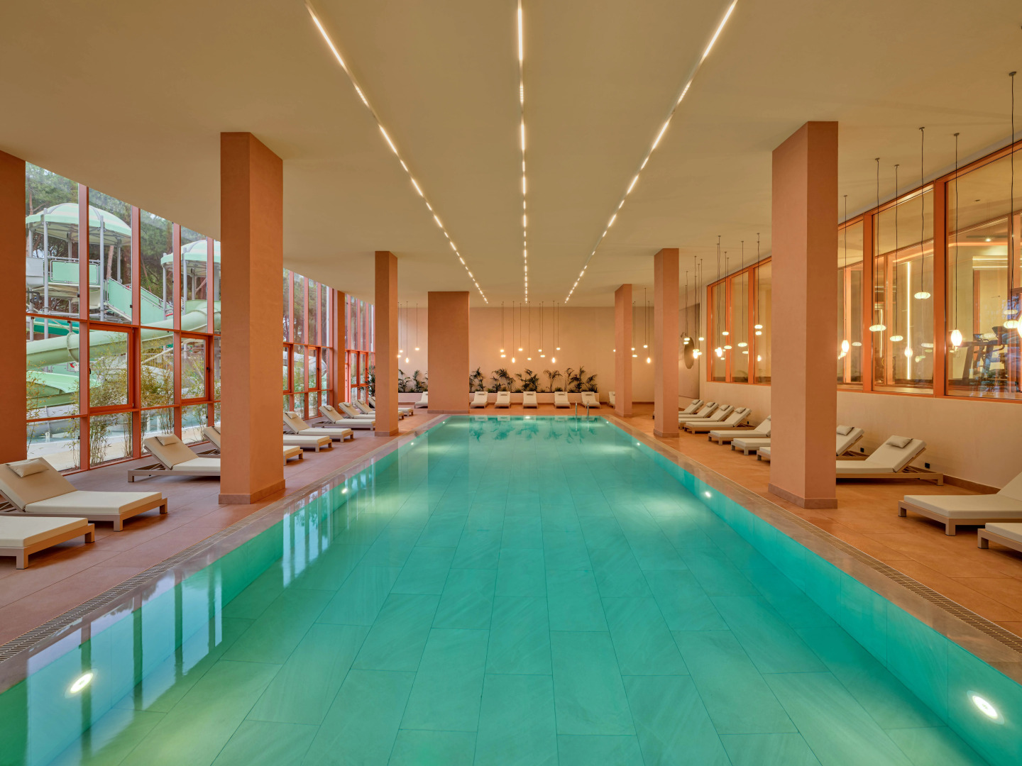 Photo - Paloma Grida