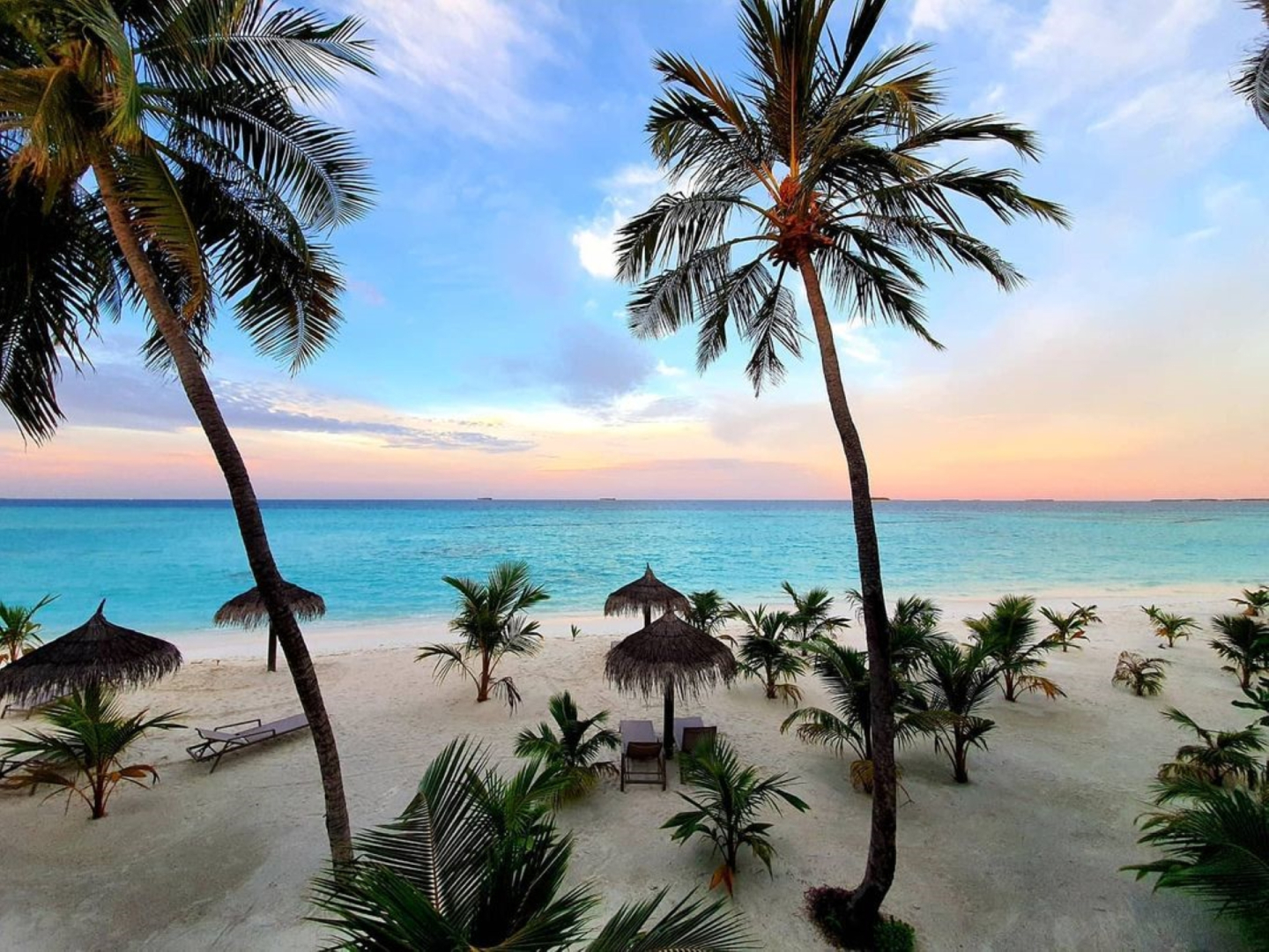 Photo - Oceana Inn Maldives -Free airport assistance at both international and domestic airports
