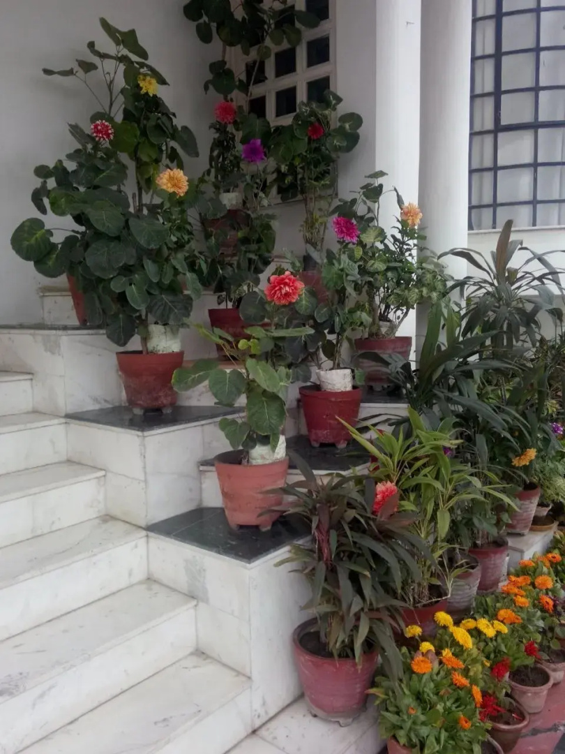 Photo - Abode Homestay