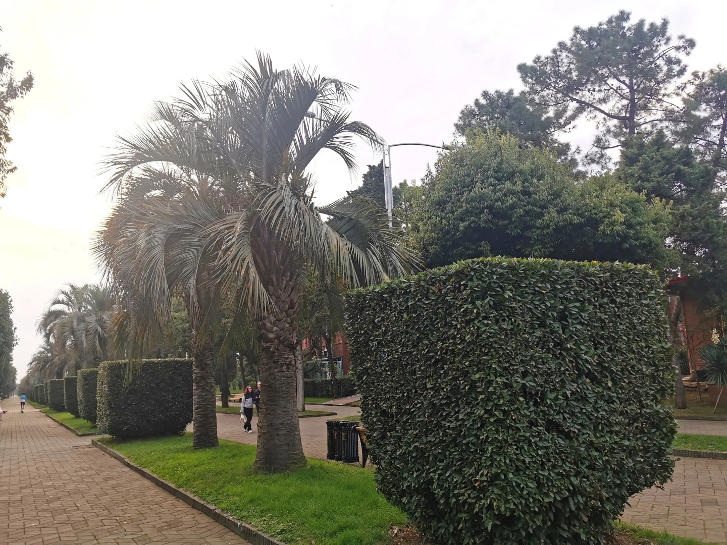 Photo - Harmony Backpackers Hostel