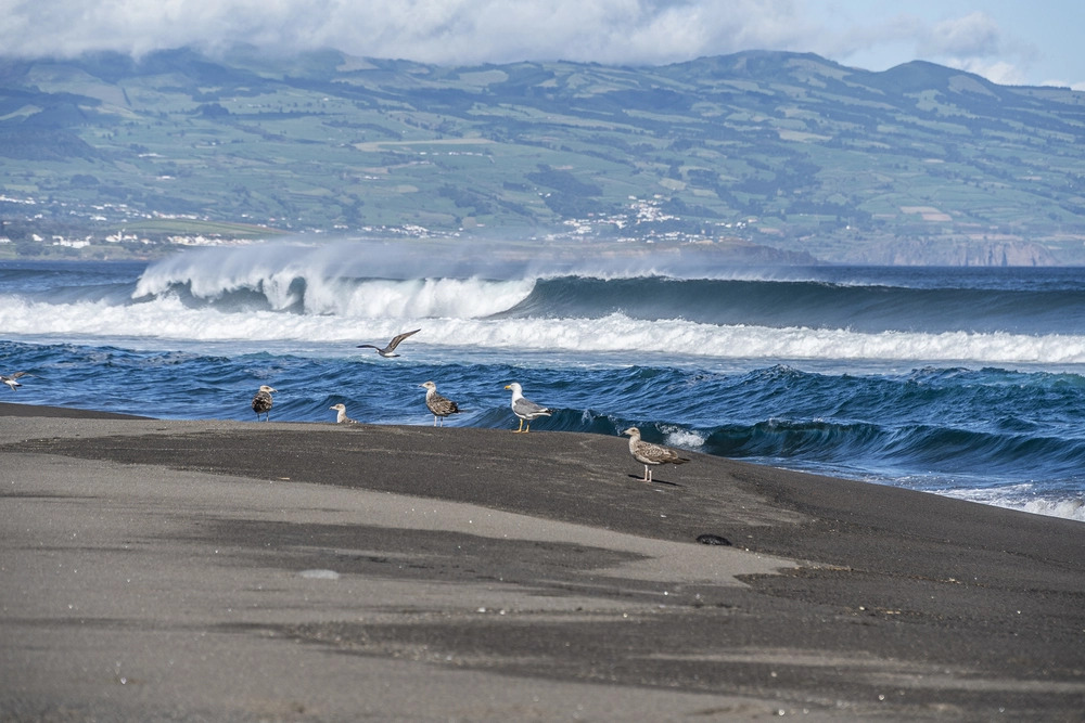Foto - Hotel Verde Mar & SPA