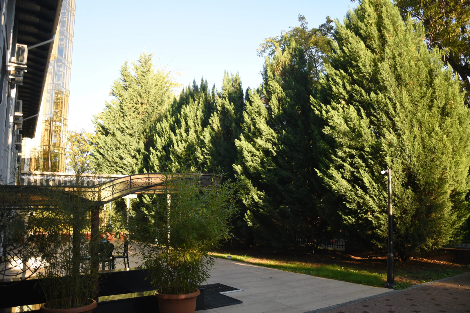 Foto - Florence Hotel