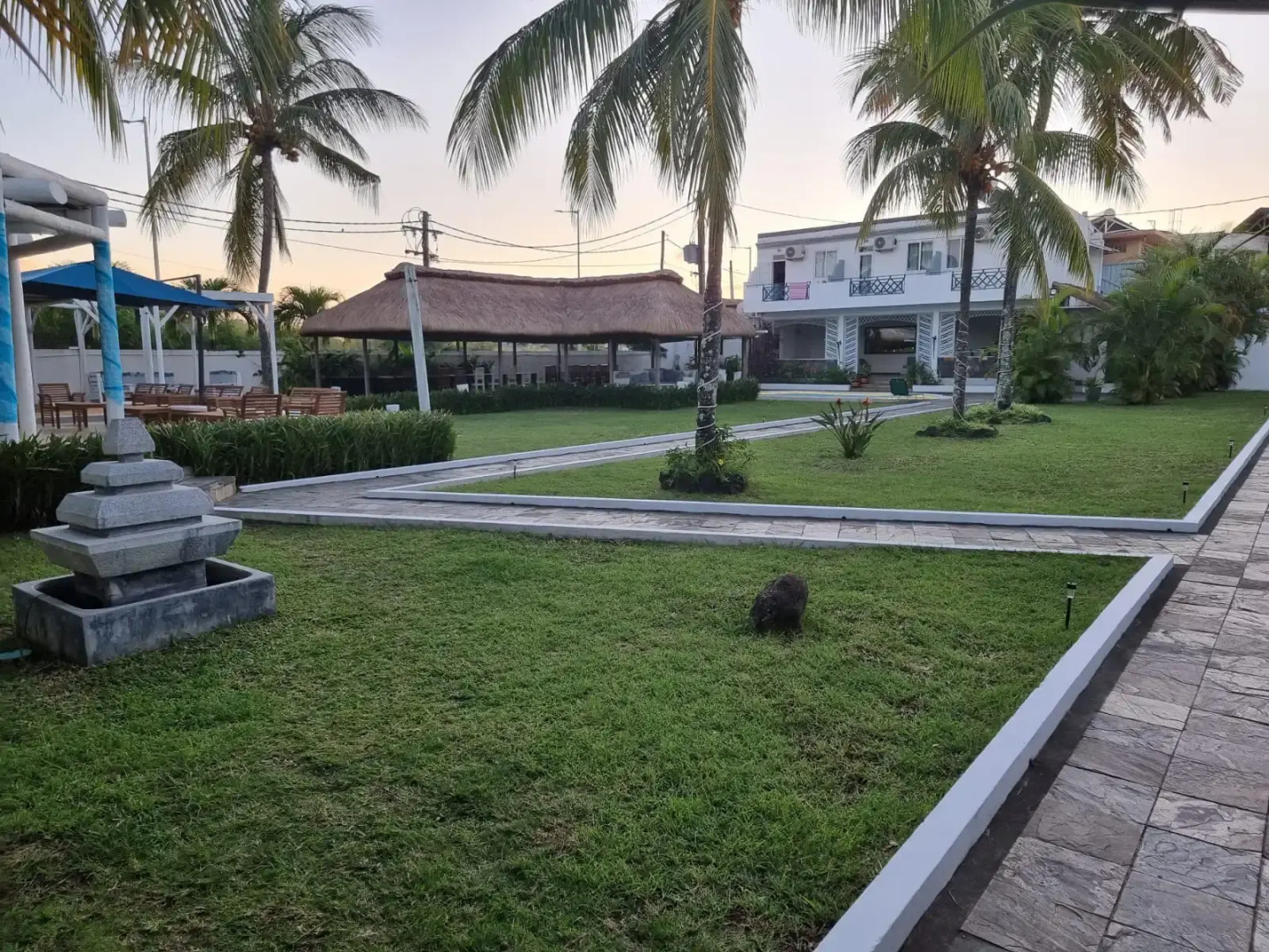 Photo - Stella Rina "Adults Only"