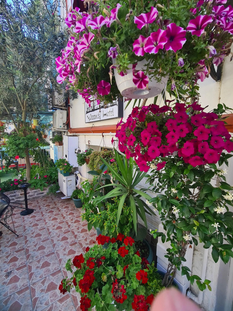 Photo - Oceans 7 Hotel