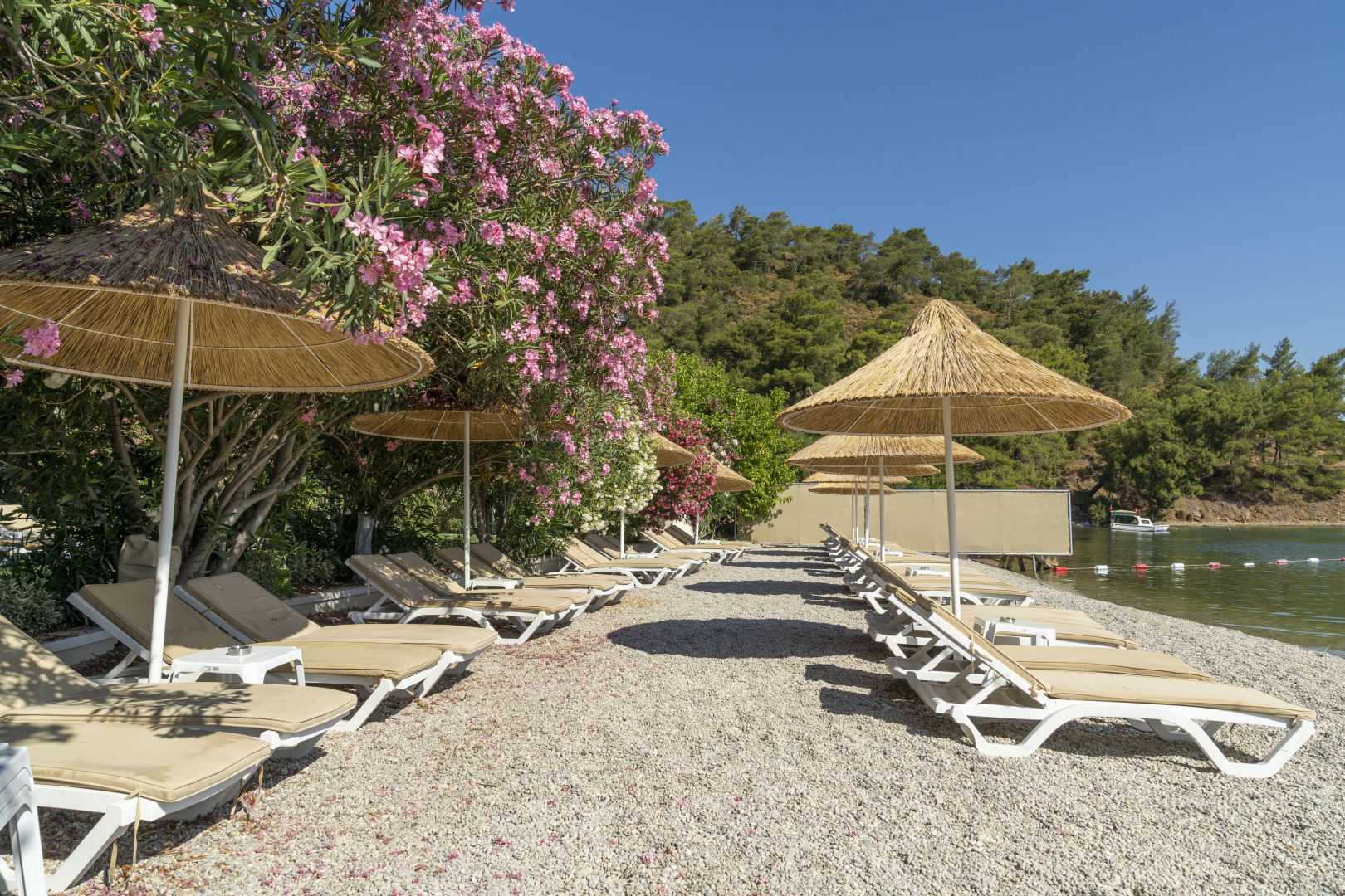 Photo - Alesta Yacht Hotel