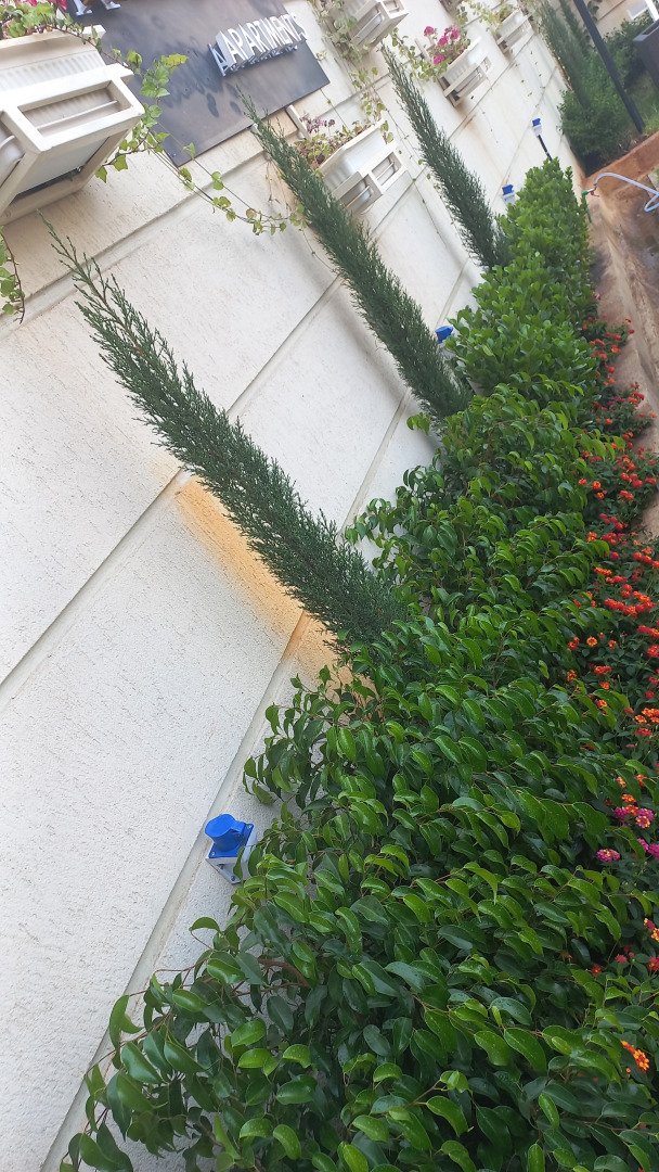 Foto - Addis Ville Hotel Apartment