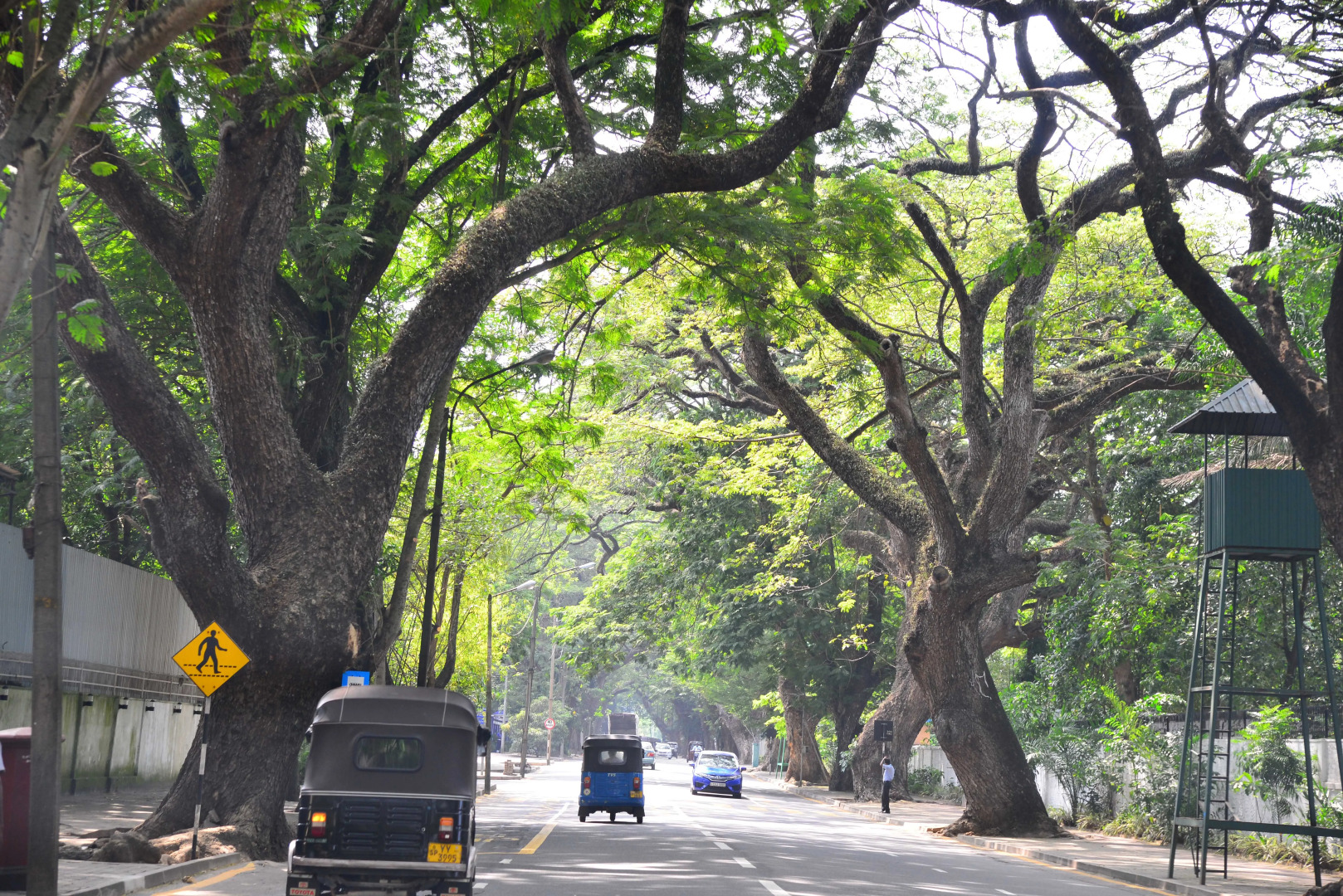 Foto - Colombo Villa