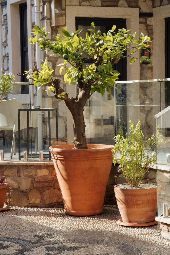 Foto - Alp Pasa Hotel - Special Class