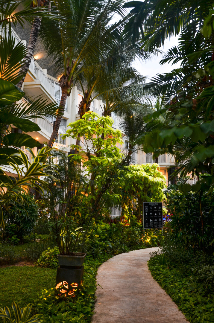 Foto - THE 1O1 Bali Fontana Seminyak