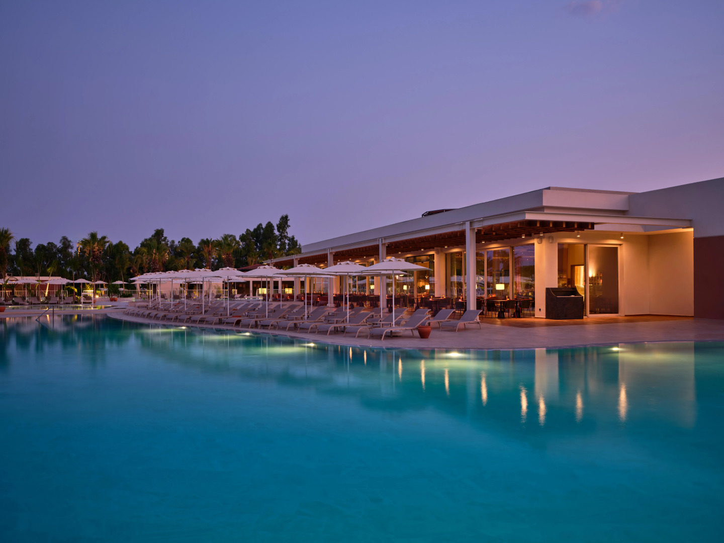 Photo - Paloma Grida