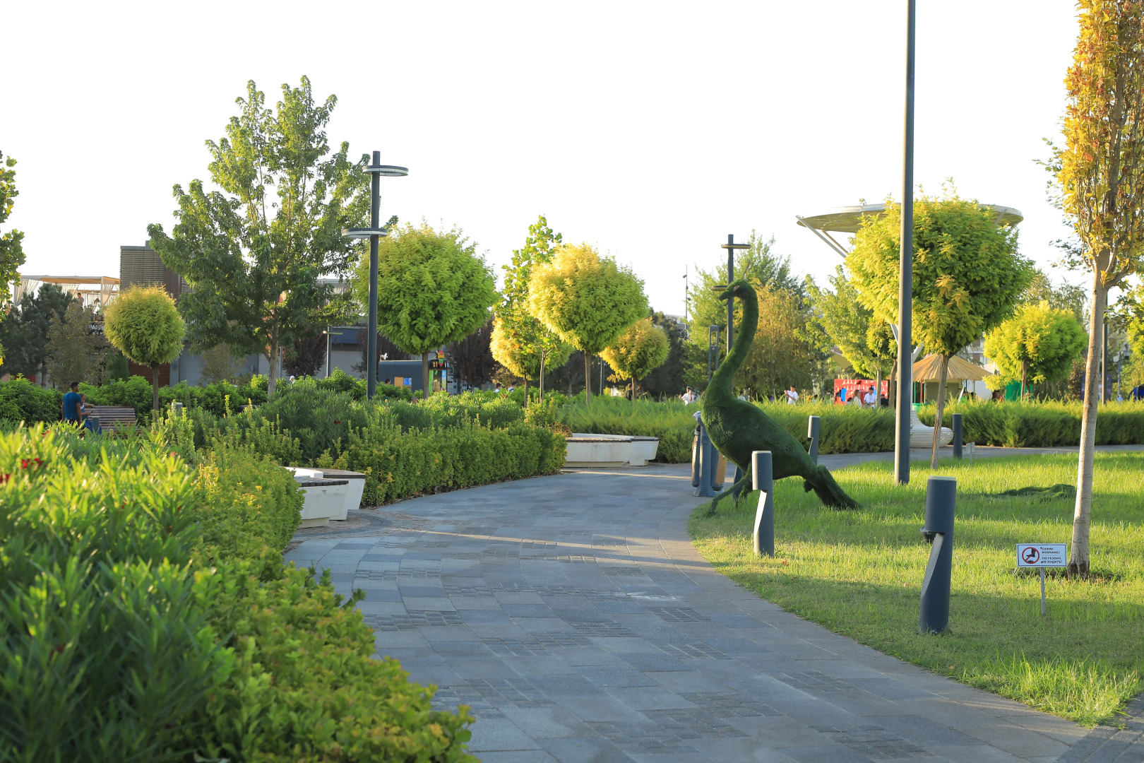 Foto - Doo Hostel Tashkent city