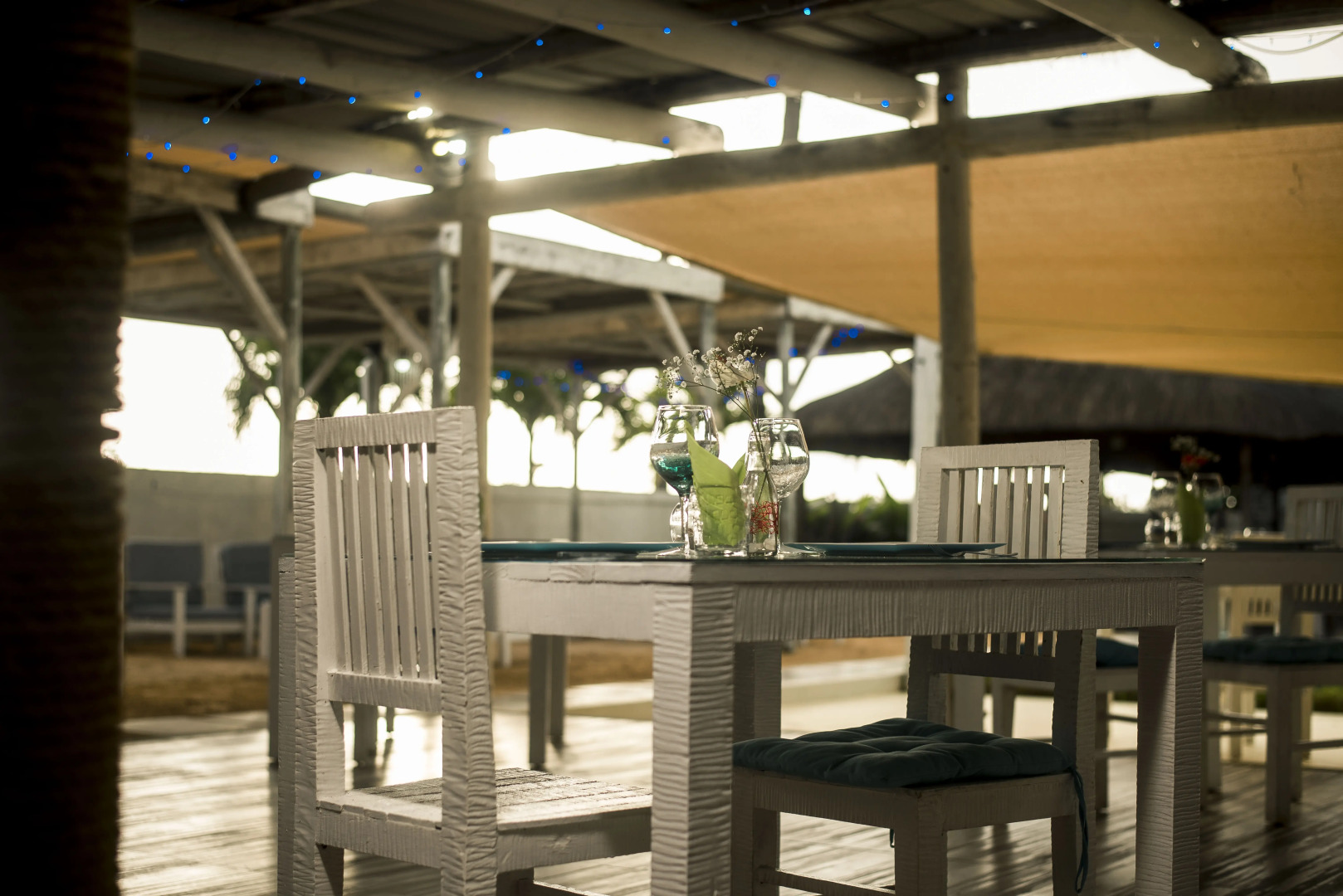 Photo - Stella Rina "Adults Only"