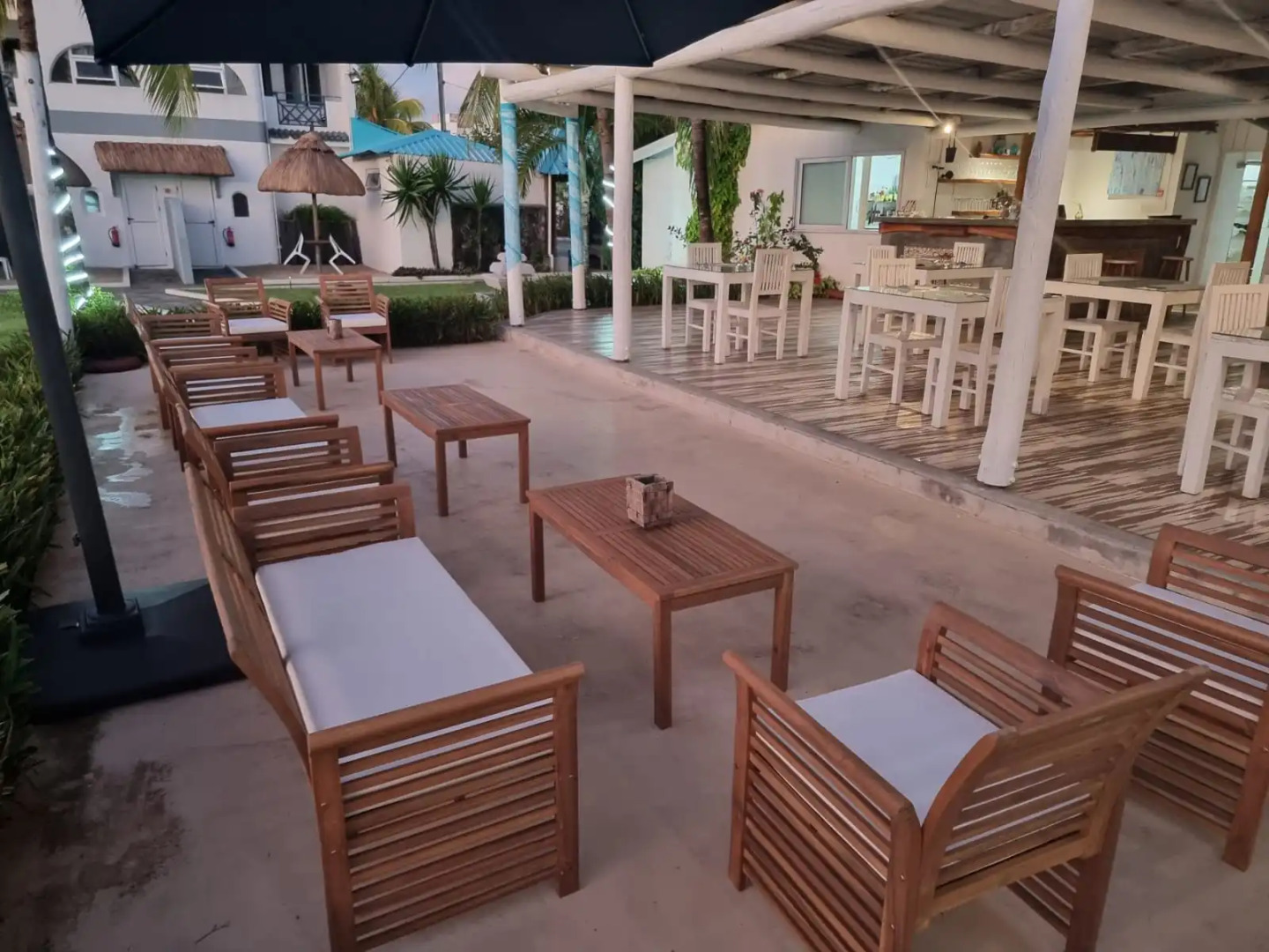 Photo - Stella Rina "Adults Only"