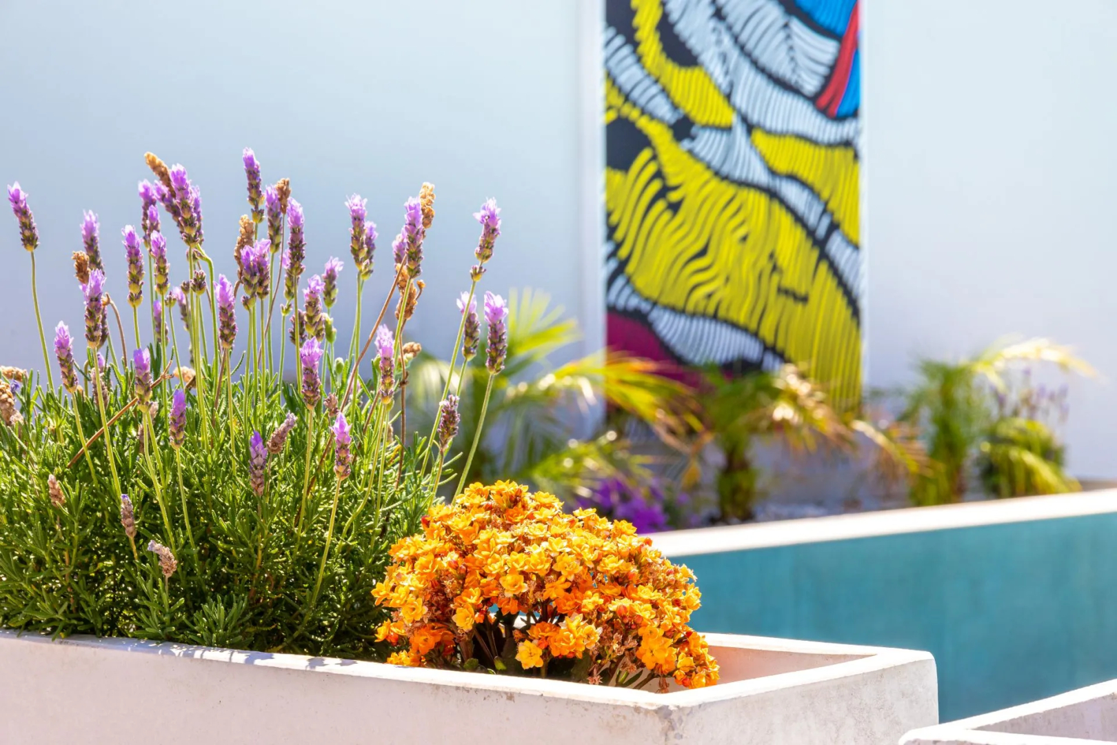 Foto - Talos Luxury Suites