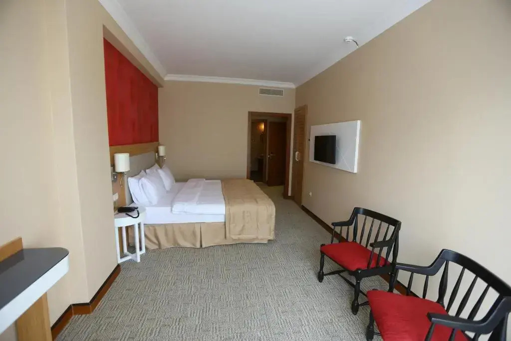 Foto - Sputnik Hotel Batumi