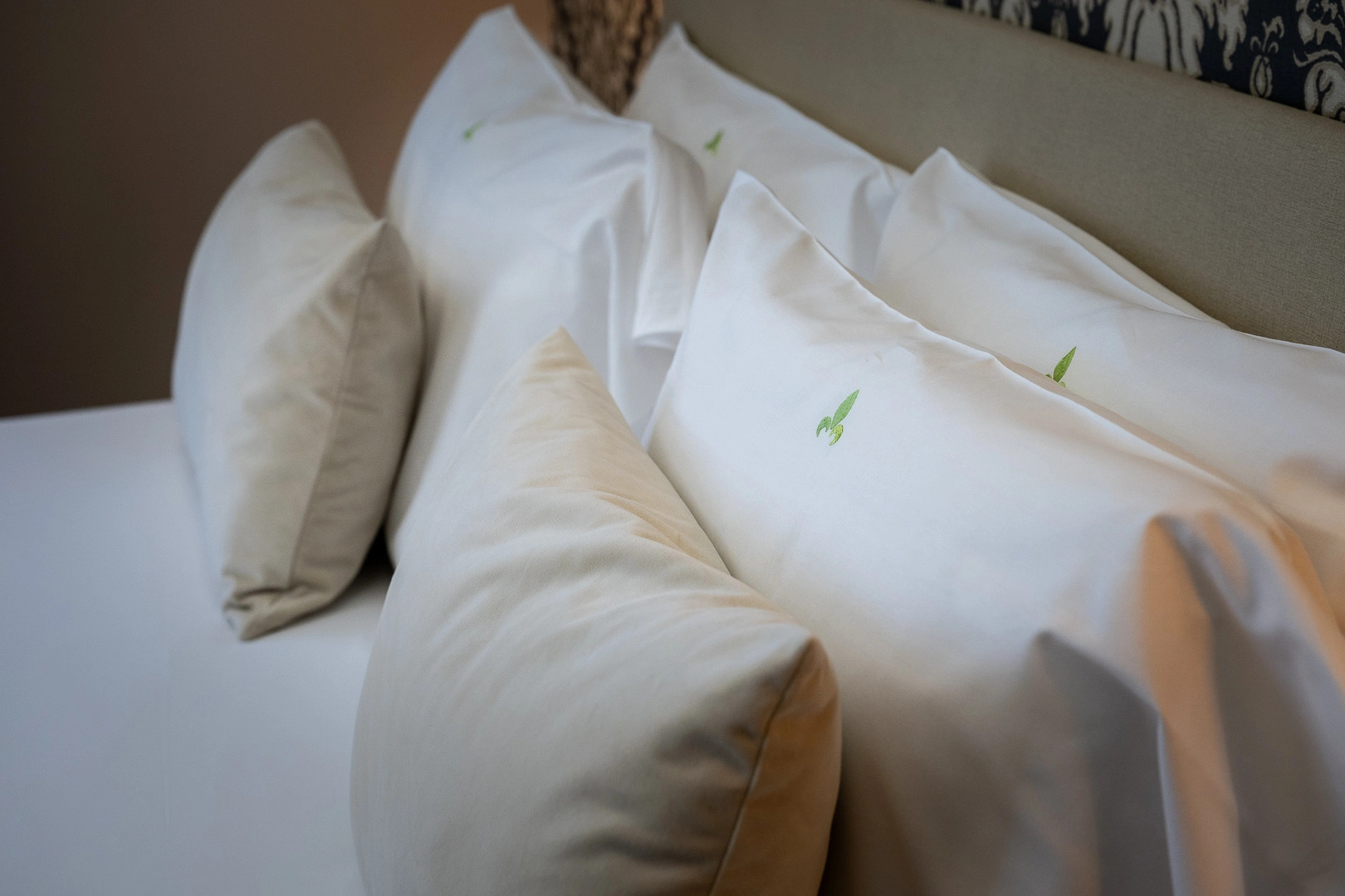 Photo - Hotel Caravita