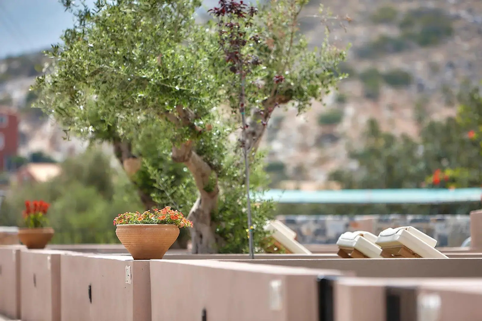 Foto - Marni Village
