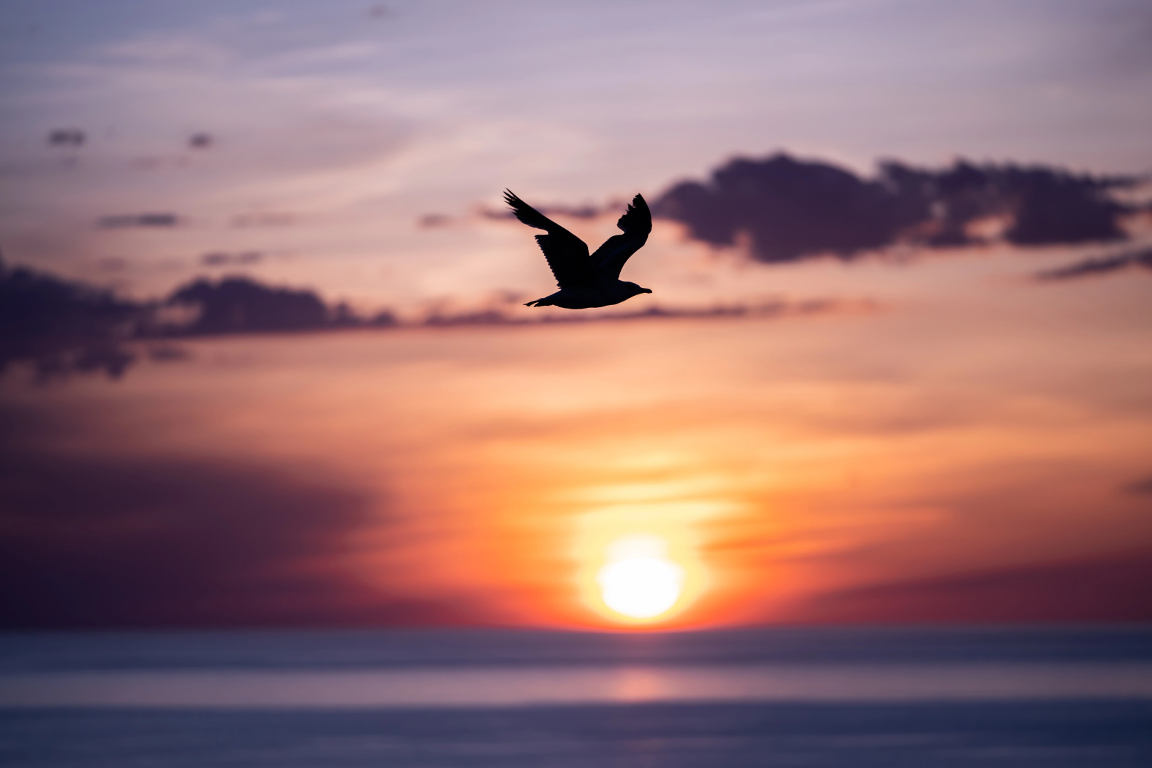 Foto - Alliance Palace Batumi