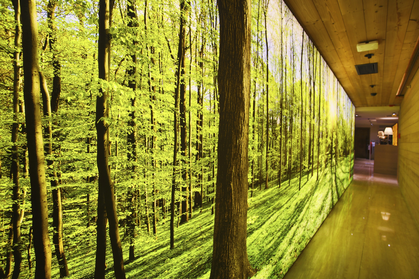 Foto - Dosso Dossi Hotels & SPA Downtown