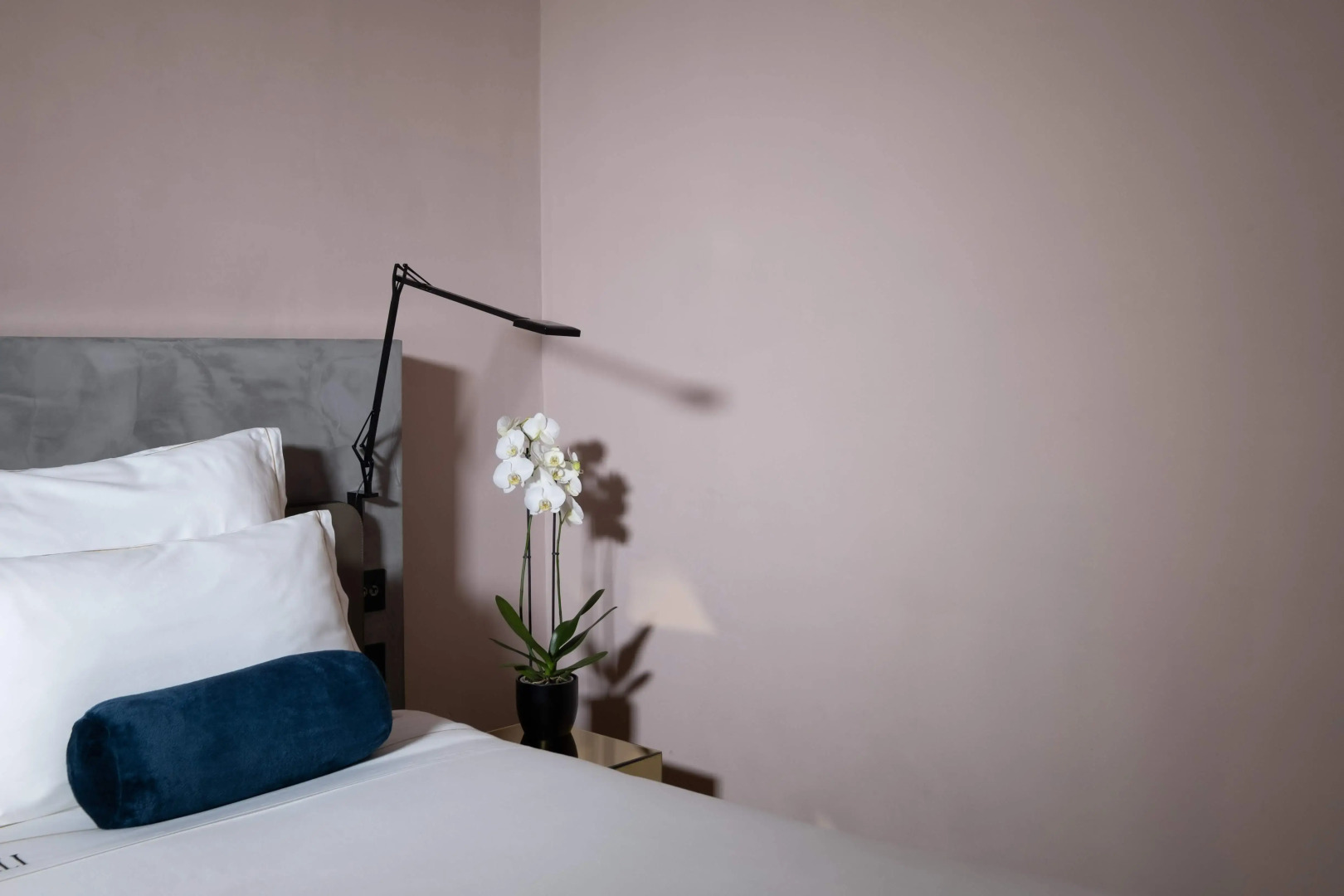 Photo - Rosselli AX Privilege