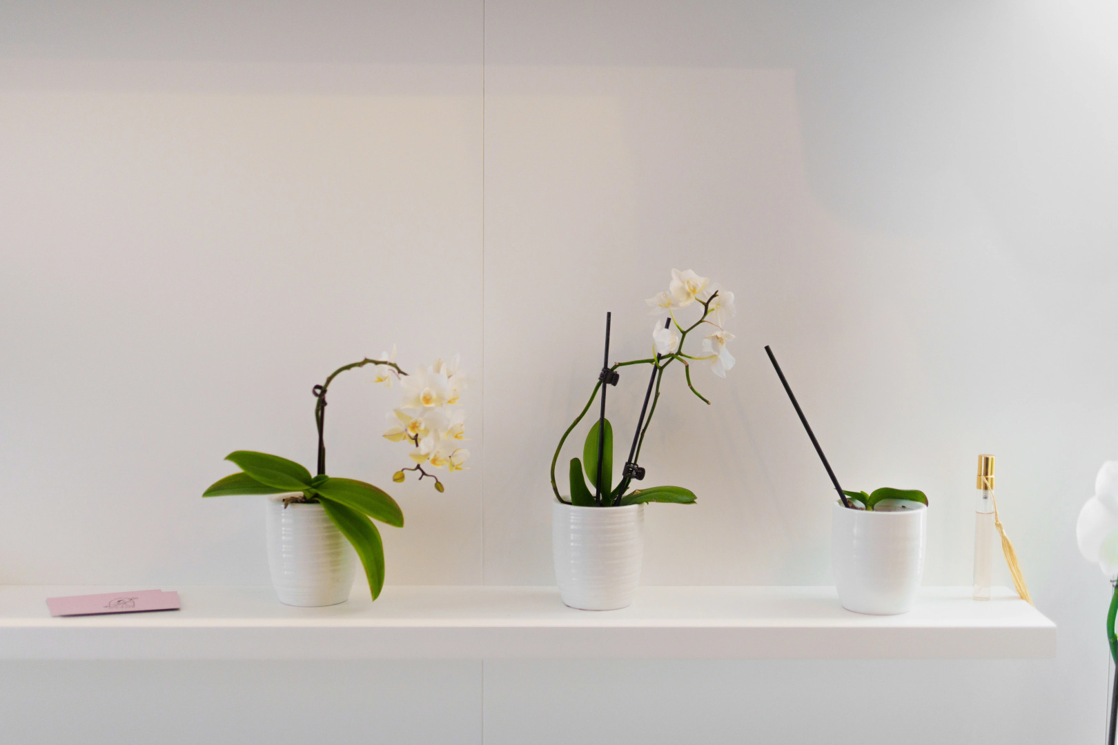 Foto - It's Room Naples