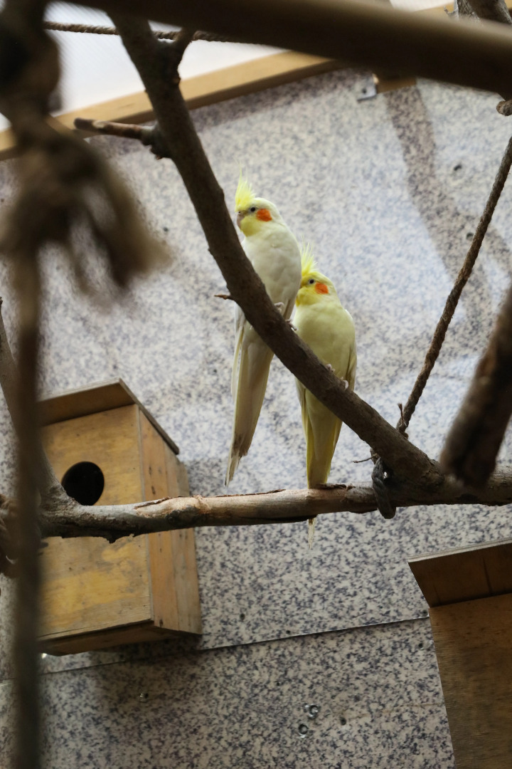 Foto - U Ashota Guest house