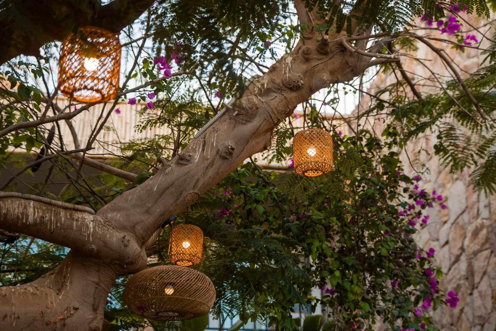 Photo - Jewels Sahara Boutique Resort
