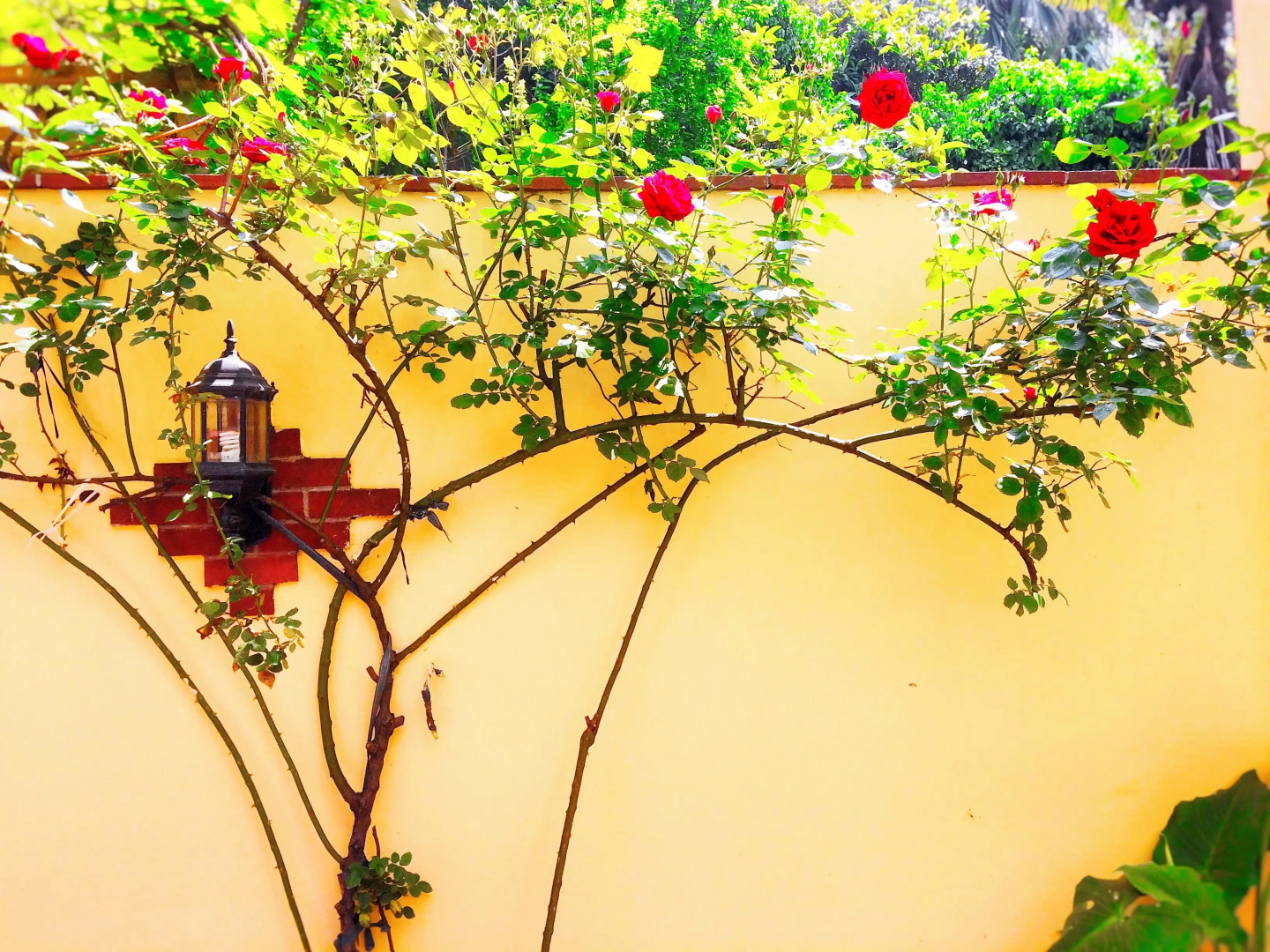 Photo - Ottoman's Pearl Hotel