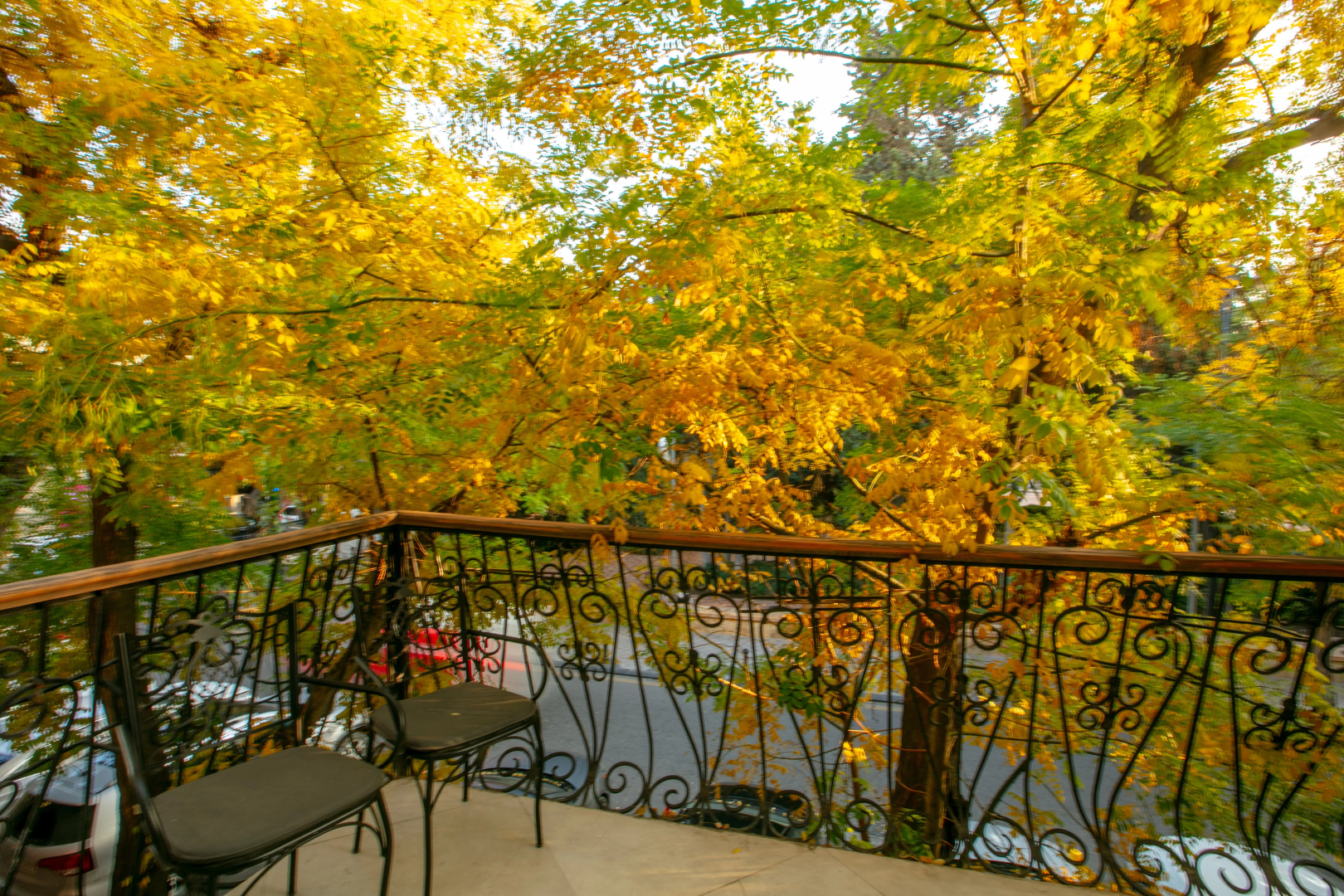 Foto - Theatrum Hotel Baku
